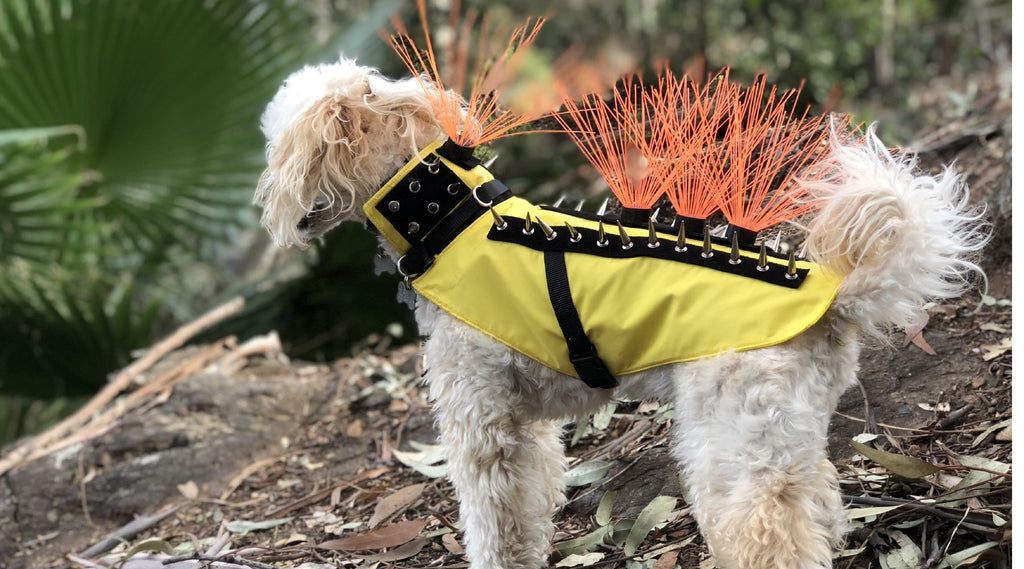  CoyoteVest SpikeVest Dog Harness Vest, Reflective Dog  Accessories with Spikes to Shield Your Pet from Raptor and Animal Attacks-  Proudly Made in America Fluorescent Orange : Pet Supplies