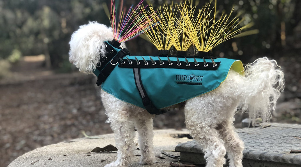  CoyoteVest SpikeVest Dog Harness Vest, Reflective Dog  Accessories with Spikes to Shield Your Pet from Raptor and Animal Attacks-  Proudly Made in America Fluorescent Orange : Pet Supplies